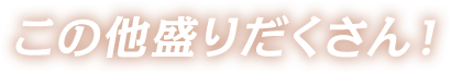 この他盛りだくさん！